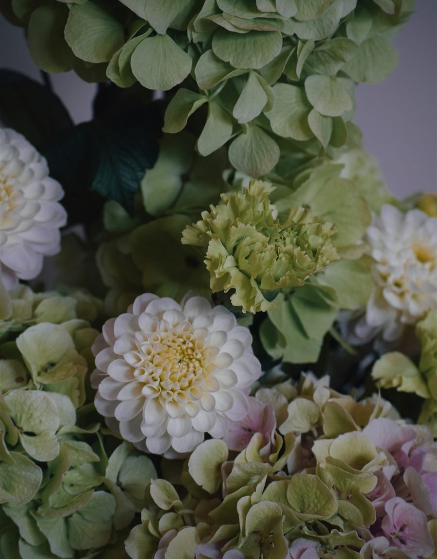 Colección Blanc Absolu: dalias blancas y hortensias verdes